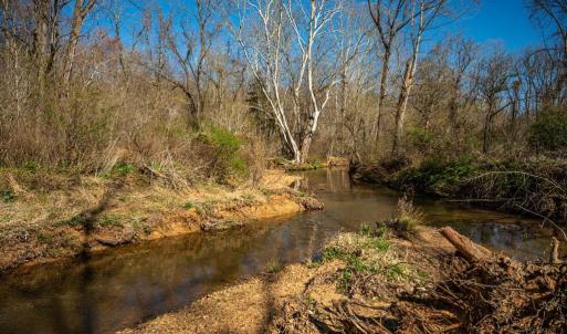 Photo #14 of COX MILL RD, GORDONSVILLE, VA 178.6 acres