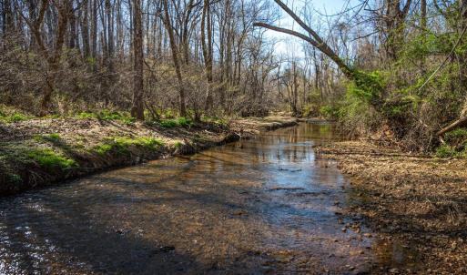 Photo #15 of COX MILL RD, GORDONSVILLE, VA 178.6 acres