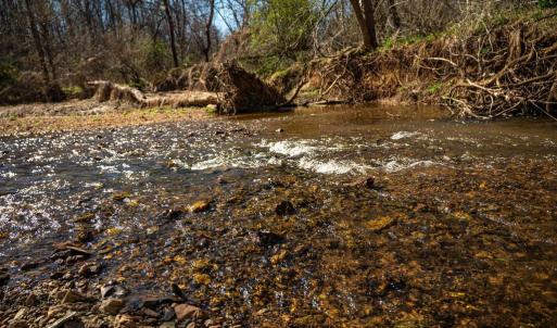 Photo #16 of COX MILL RD, GORDONSVILLE, VA 178.6 acres