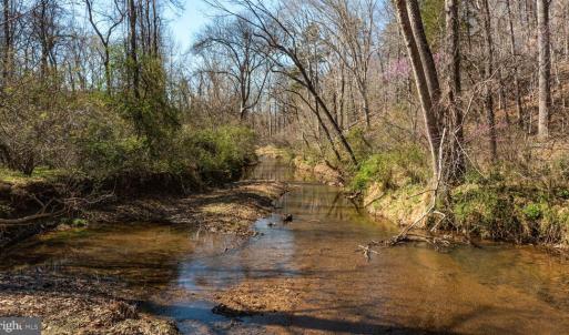 Photo #17 of COX MILL RD, GORDONSVILLE, VA 178.6 acres