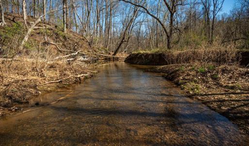 Photo #19 of COX MILL RD, GORDONSVILLE, VA 178.6 acres