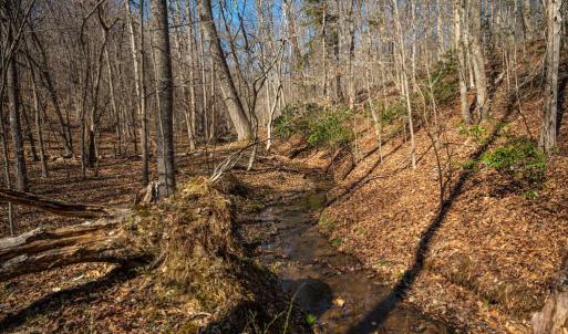 Photo #20 of COX MILL RD, GORDONSVILLE, VA 178.6 acres