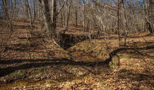 Photo #21 of COX MILL RD, GORDONSVILLE, VA 178.6 acres