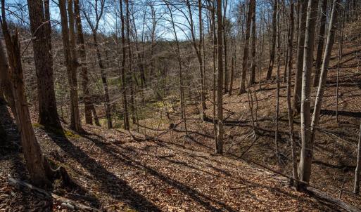 Photo #24 of COX MILL RD, GORDONSVILLE, VA 178.6 acres