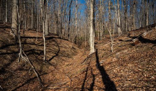 Photo #25 of COX MILL RD, GORDONSVILLE, VA 178.6 acres