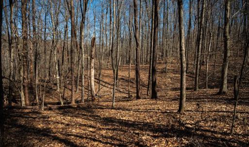 Photo #27 of COX MILL RD, GORDONSVILLE, VA 178.6 acres