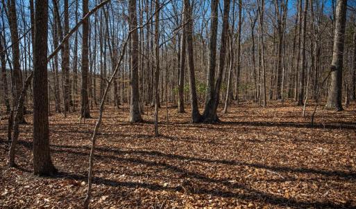 Photo #31 of COX MILL RD, GORDONSVILLE, VA 178.6 acres