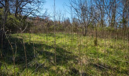 Photo #33 of COX MILL RD, GORDONSVILLE, VA 178.6 acres