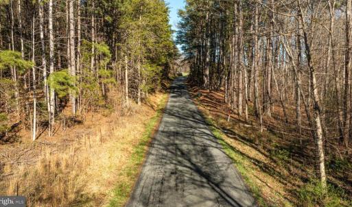 Photo #34 of COX MILL RD, GORDONSVILLE, VA 178.6 acres