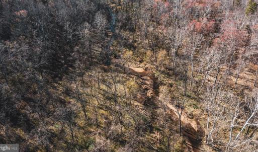 Photo #36 of COX MILL RD, GORDONSVILLE, VA 178.6 acres