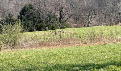 Photo #12 of 2065 LEEDS MANOR RD, DELAPLANE, VA 187.4 acres