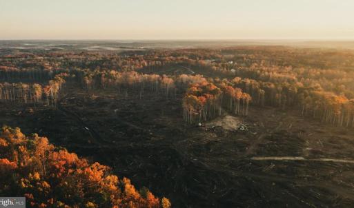 Photo #3 of 12600 CATHARPIN RD, SPOTSYLVANIA, VA 312.0 acres