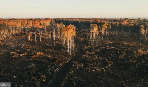 Photo #1 of 12600 CATHARPIN RD, SPOTSYLVANIA, VA 312.0 acres