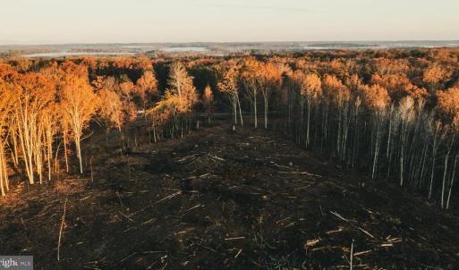 Photo #6 of 12600 CATHARPIN RD, SPOTSYLVANIA, VA 312.0 acres