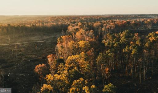 Photo #15 of 12600 CATHARPIN RD, SPOTSYLVANIA, VA 312.0 acres