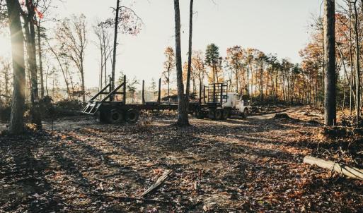 Photo #20 of 12600 CATHARPIN RD, SPOTSYLVANIA, VA 312.0 acres