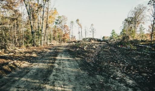 Photo #22 of 12600 CATHARPIN RD, SPOTSYLVANIA, VA 312.0 acres