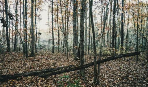 Photo #35 of 12600 CATHARPIN RD, SPOTSYLVANIA, VA 312.0 acres