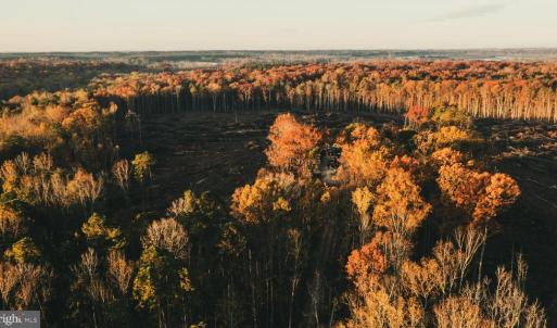 Photo #4 of 12600 CATHARPIN RD, SPOTSYLVANIA, VA 312.0 acres