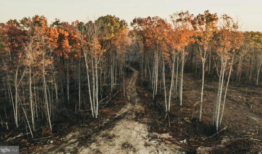 Photo #10 of 12600 CATHARPIN RD, SPOTSYLVANIA, VA 312.0 acres