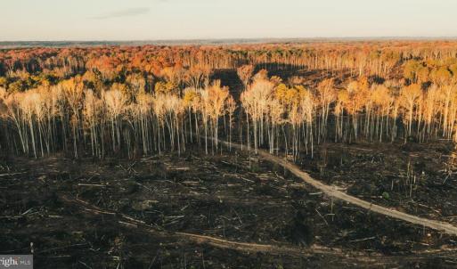 Photo #11 of 12600 CATHARPIN RD, SPOTSYLVANIA, VA 312.0 acres