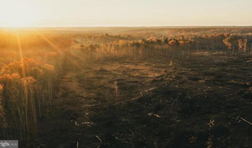 Photo #16 of 12600 CATHARPIN RD, SPOTSYLVANIA, VA 312.0 acres