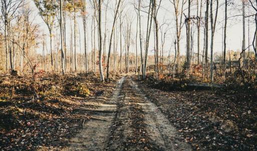 Photo #21 of 12600 CATHARPIN RD, SPOTSYLVANIA, VA 312.0 acres