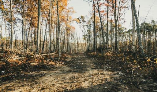 Photo #26 of 12600 CATHARPIN RD, SPOTSYLVANIA, VA 312.0 acres