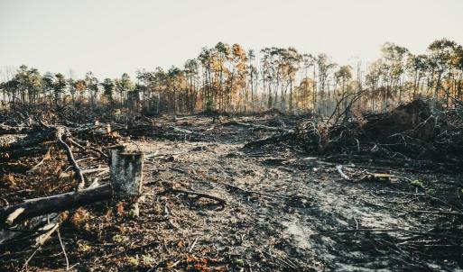 Photo #30 of 12600 CATHARPIN RD, SPOTSYLVANIA, VA 312.0 acres