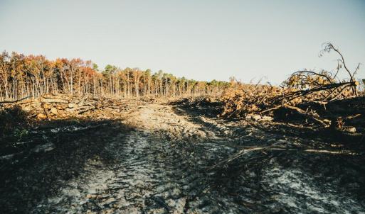 Photo #31 of 12600 CATHARPIN RD, SPOTSYLVANIA, VA 312.0 acres