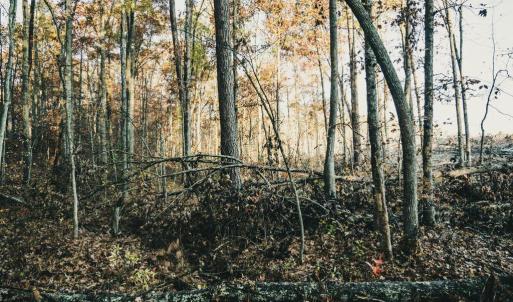 Photo #32 of 12600 CATHARPIN RD, SPOTSYLVANIA, VA 312.0 acres