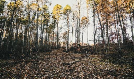 Photo #44 of 12600 CATHARPIN RD, SPOTSYLVANIA, VA 312.0 acres