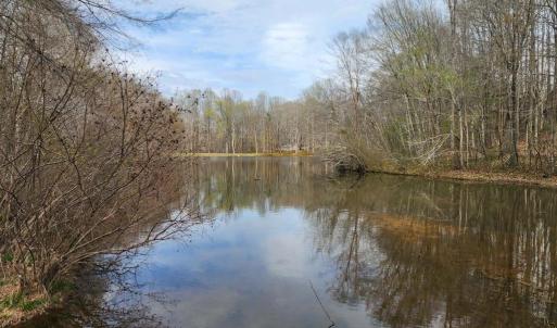 Photo #3 of 7531 SCOTTS FARM RD, SPOTSYLVANIA, VA 5.1 acres