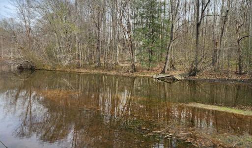 Photo #4 of 7531 SCOTTS FARM RD, SPOTSYLVANIA, VA 5.1 acres