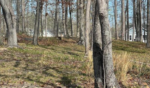 Photo #7 of FAIRVIEW DR, MINERAL, VA 1.1 acres