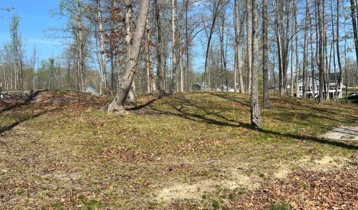 Photo #8 of FAIRVIEW DR, MINERAL, VA 1.1 acres