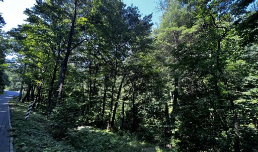 IMG-6916