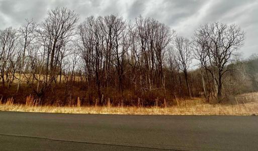 View from Red Barn Ln