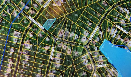 Photo #1 of 204 CONSTITUTION BLVD, LOCUST GROVE, VA 0.3 acres