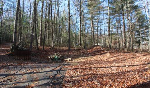 Photo #19 of VALLEY BURG RD, LURAY, VA 58.0 acres