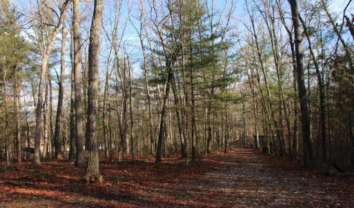 Photo #20 of VALLEY BURG RD, LURAY, VA 58.0 acres