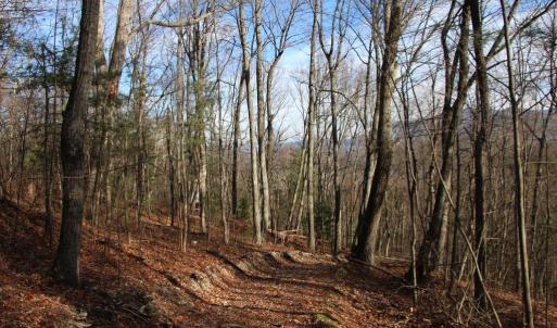 Photo #23 of VALLEY BURG RD, LURAY, VA 58.0 acres
