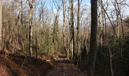 Photo #27 of VALLEY BURG RD, LURAY, VA 58.0 acres