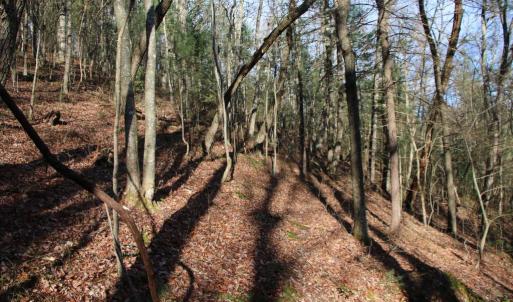 Photo #28 of VALLEY BURG RD, LURAY, VA 58.0 acres