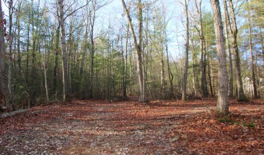 Photo #3 of VALLEY BURG RD, LURAY, VA 58.0 acres