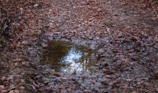 Photo #29 of VALLEY BURG RD, LURAY, VA 58.0 acres