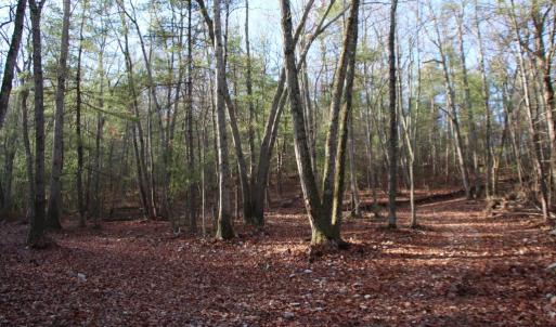 Photo #4 of VALLEY BURG RD, LURAY, VA 58.0 acres