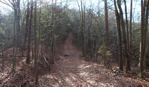 Photo #31 of VALLEY BURG RD, LURAY, VA 58.0 acres