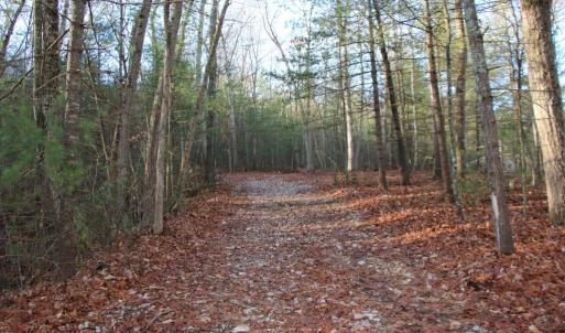 Photo #38 of VALLEY BURG RD, LURAY, VA 58.0 acres