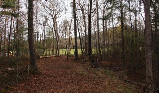 Photo #45 of VALLEY BURG RD, LURAY, VA 58.0 acres